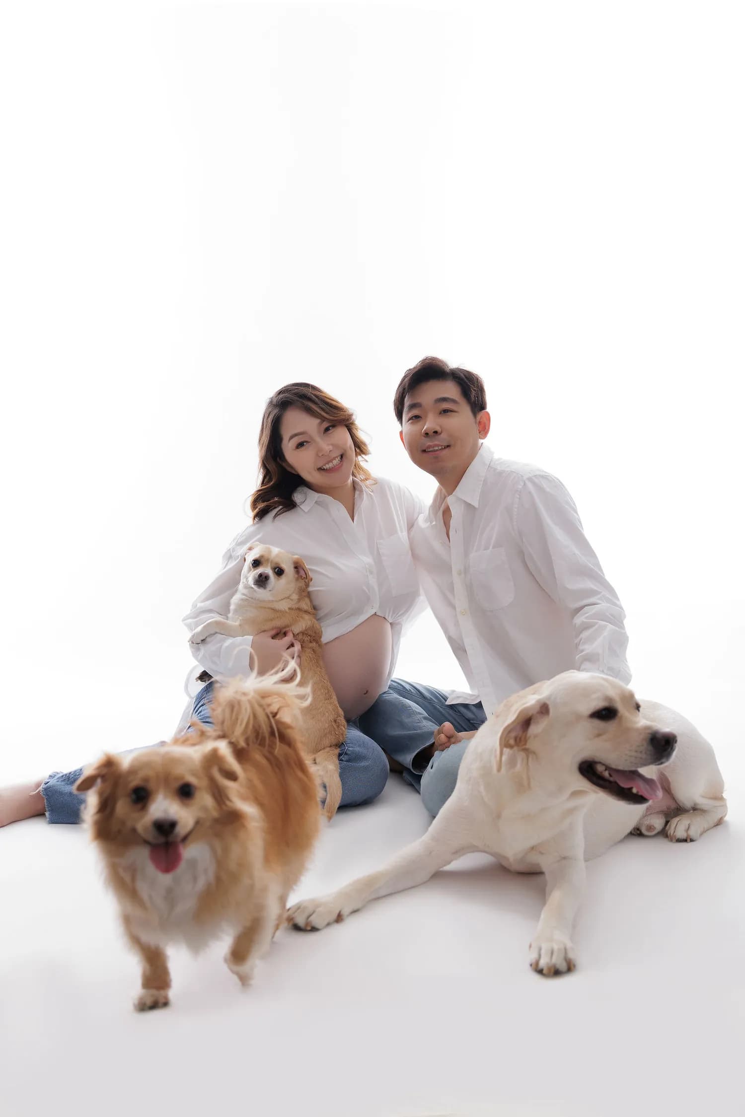 An expecting couple sitting on a white floor with three dogs